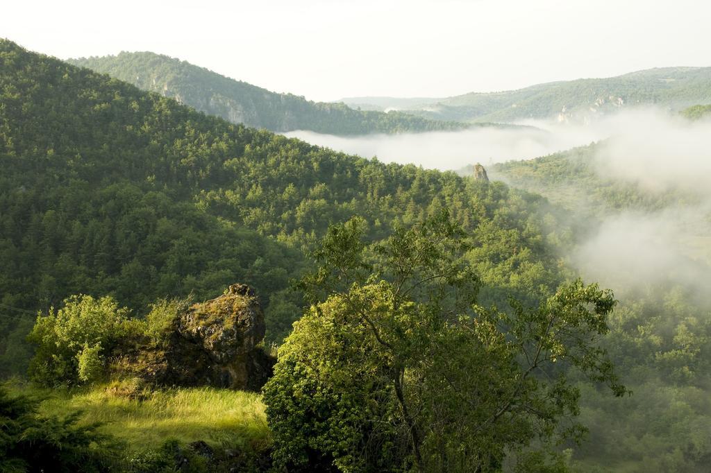 Le Colombier Saint-Veran La Roque-Sainte-Marguerite Buitenkant foto